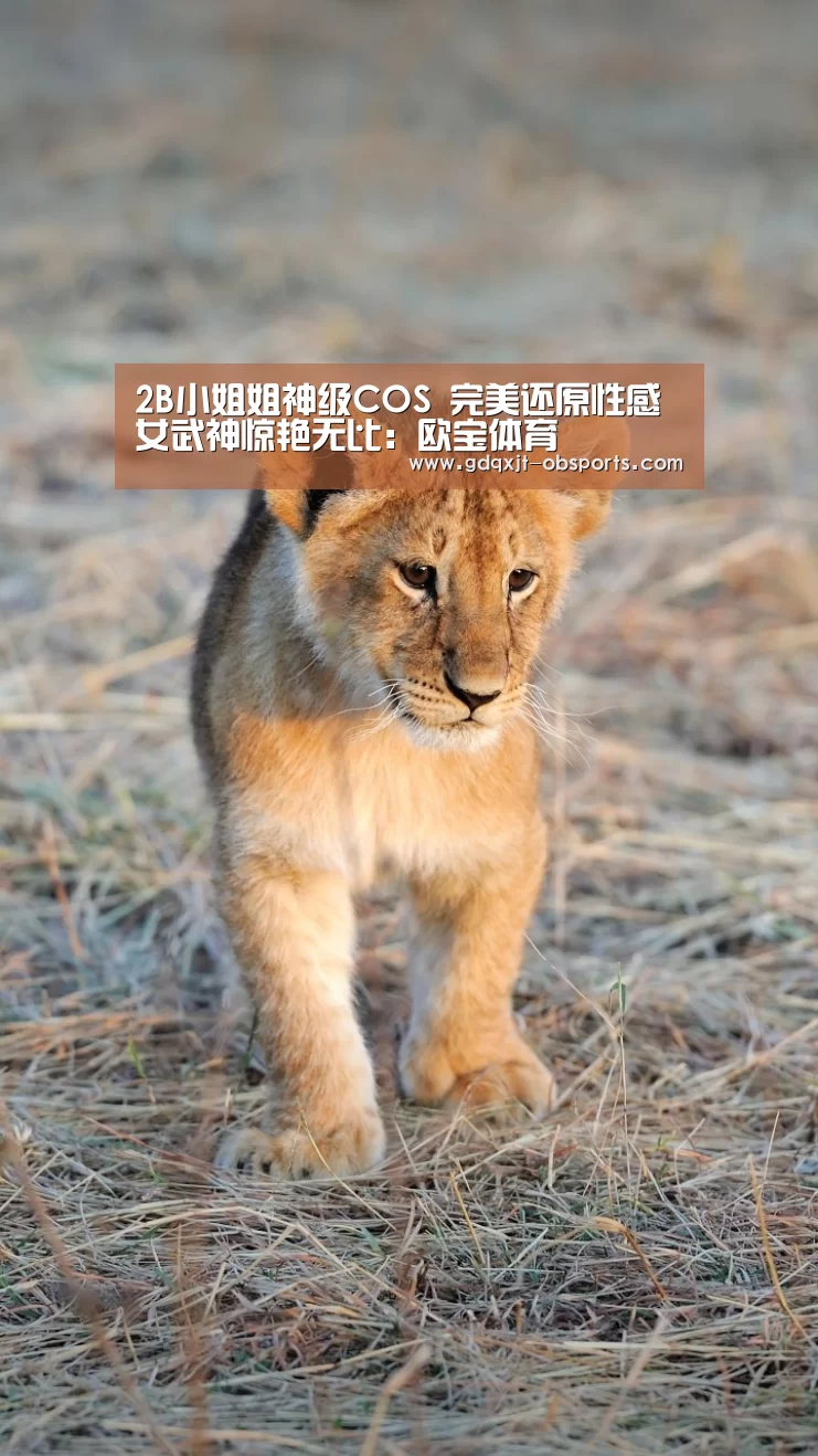 2B小姐姐神级COS 完美还原性感女武神惊艳无比:欧宝体育(图3) 欧宝体育