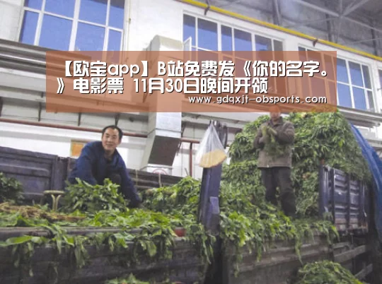 欧宝体育官网