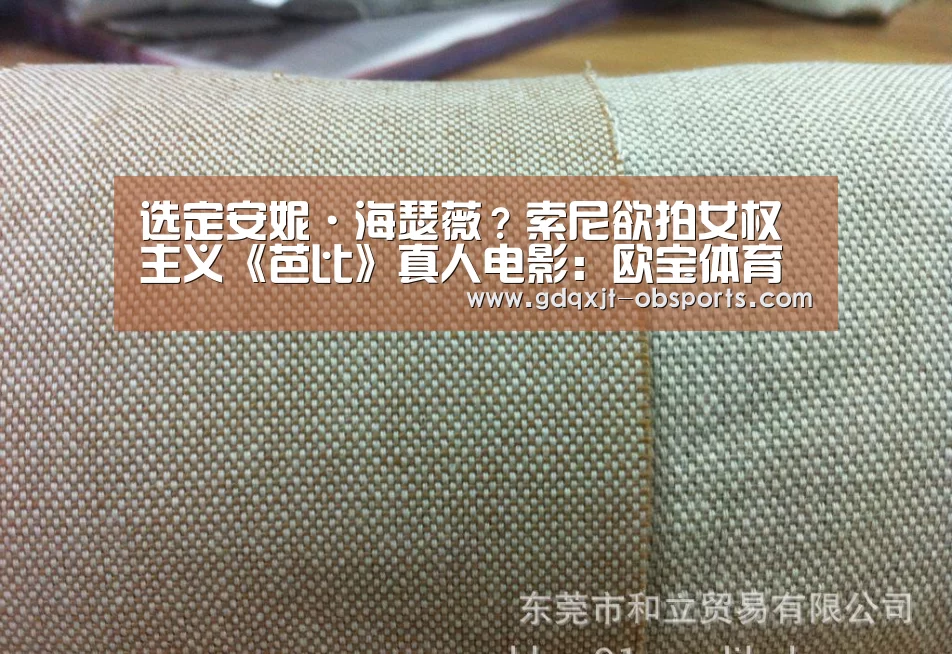 选定安妮·海瑟薇?索尼欲拍女权主义《芭比》真人电影:欧宝体育(图3) 欧宝app