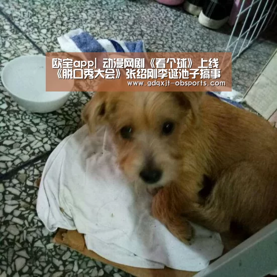 欧宝app|
动漫网剧《看个球》上线《脱口秀大会》张绍刚李诞池子搞事(图3) 欧宝